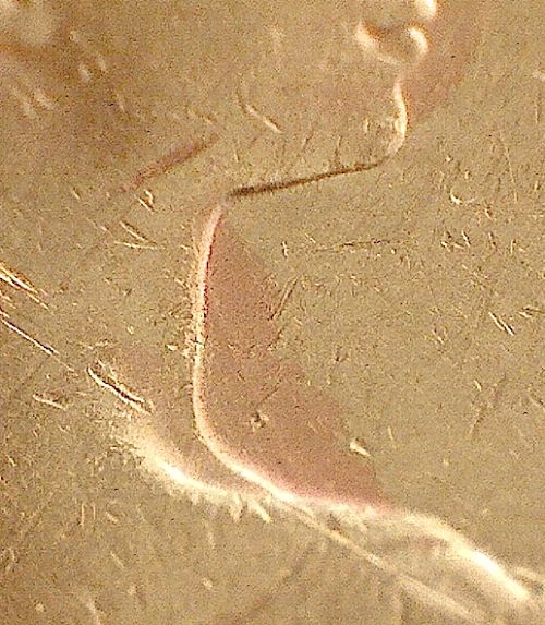 1979-Copper-Face-Nickel