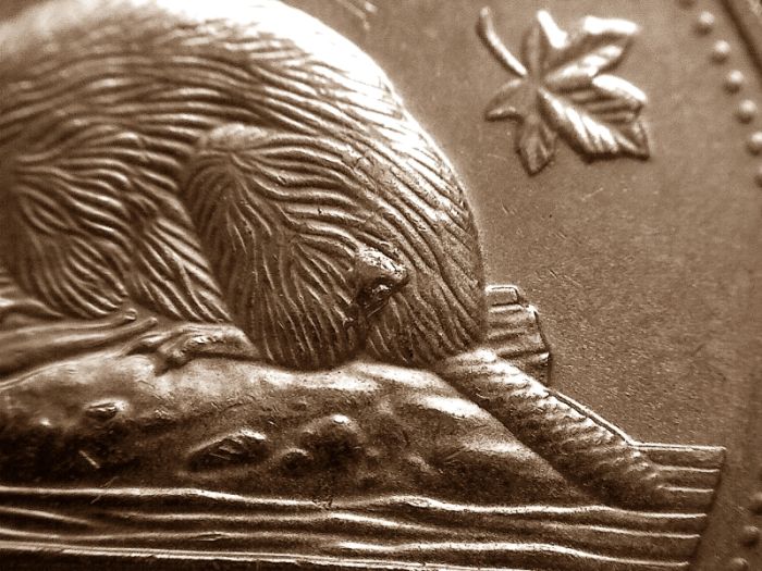 Good-Sized-Chip---2000-Nickel