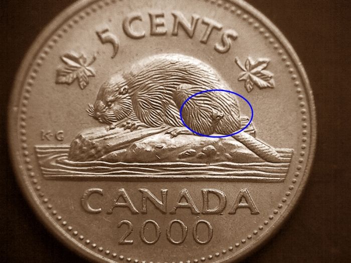 Good-Sized-Chip---2000-Nickel