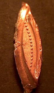 How-Easy-Is-It-To-Fake-Coins-Struck-On-Smaller-Planchets?