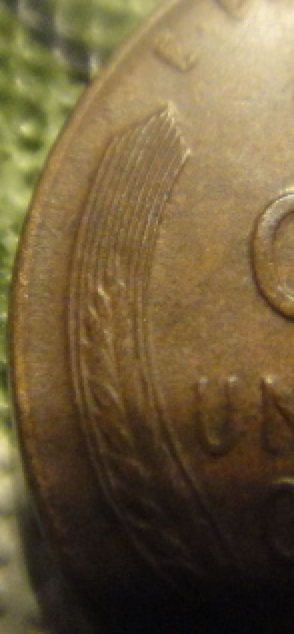 1924-D-Wheat-In-Pretty-Good-Shape