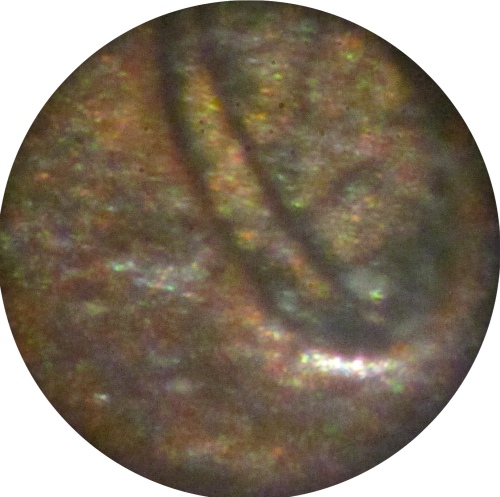 The-51-Days-Of-Indian-Head-Cents-II-With-A-Fe-Cents-Prelude
