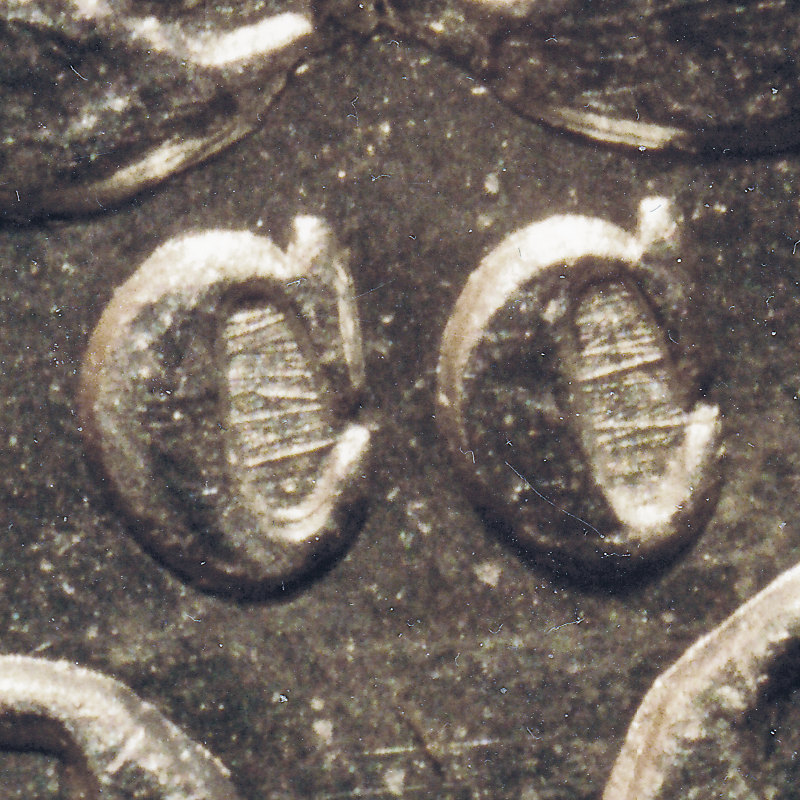 The-28-Days-Of-Morgan-Dollars!-Act-III
