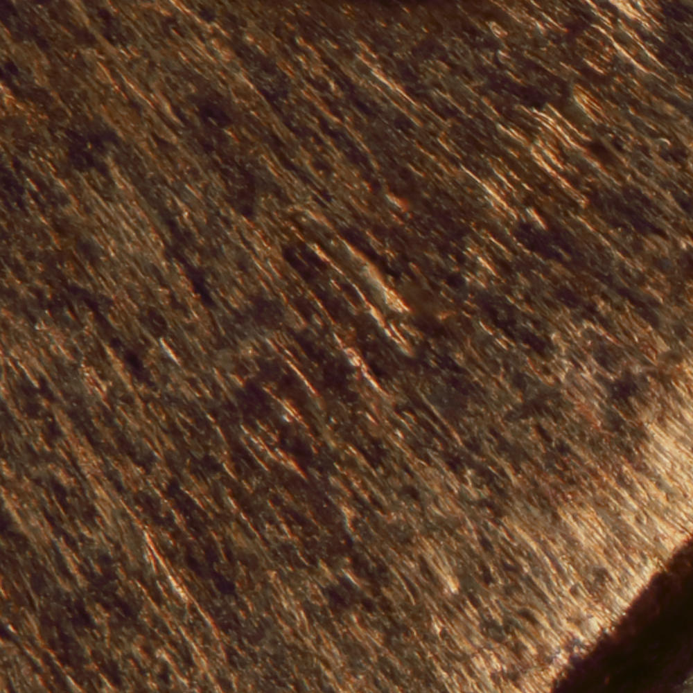 10x-Microscope-Objective-Comparisons