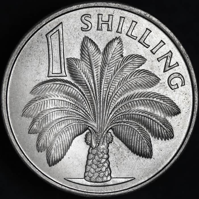 166-Days-Of-Yakko's-World-Coins