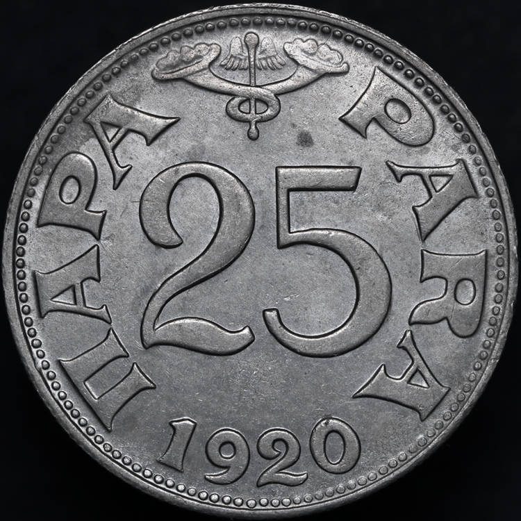 166-Days-Of-Yakko's-World-Coins