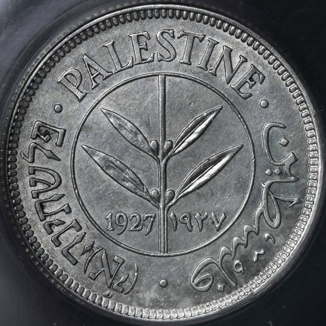 166-Days-Of-Yakko's-World-Coins