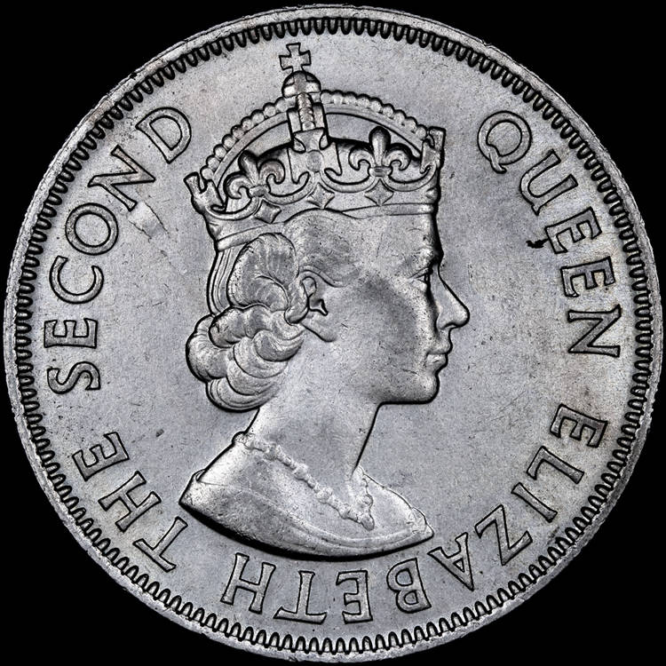 166-Days-Of-Yakko's-World-Coins