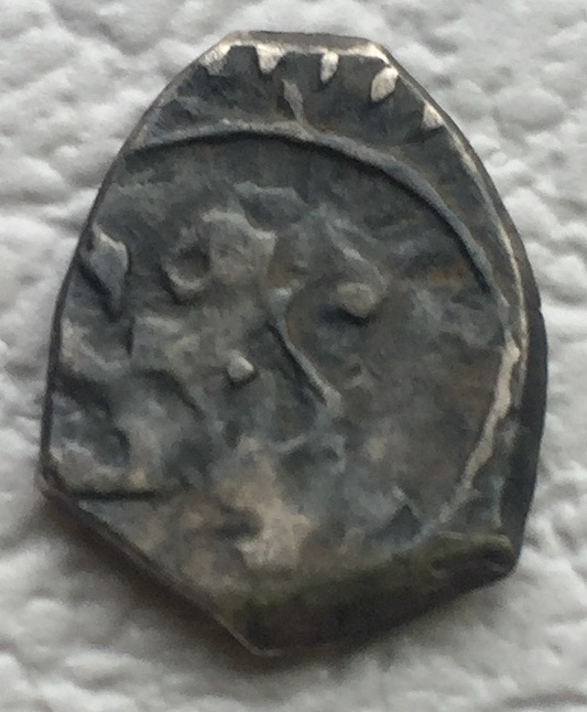 Another-Cob-Found-Last-Weekend