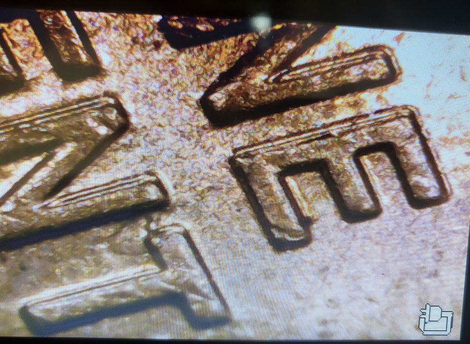 2009-D-Formative-Years---Doubling?-Cent