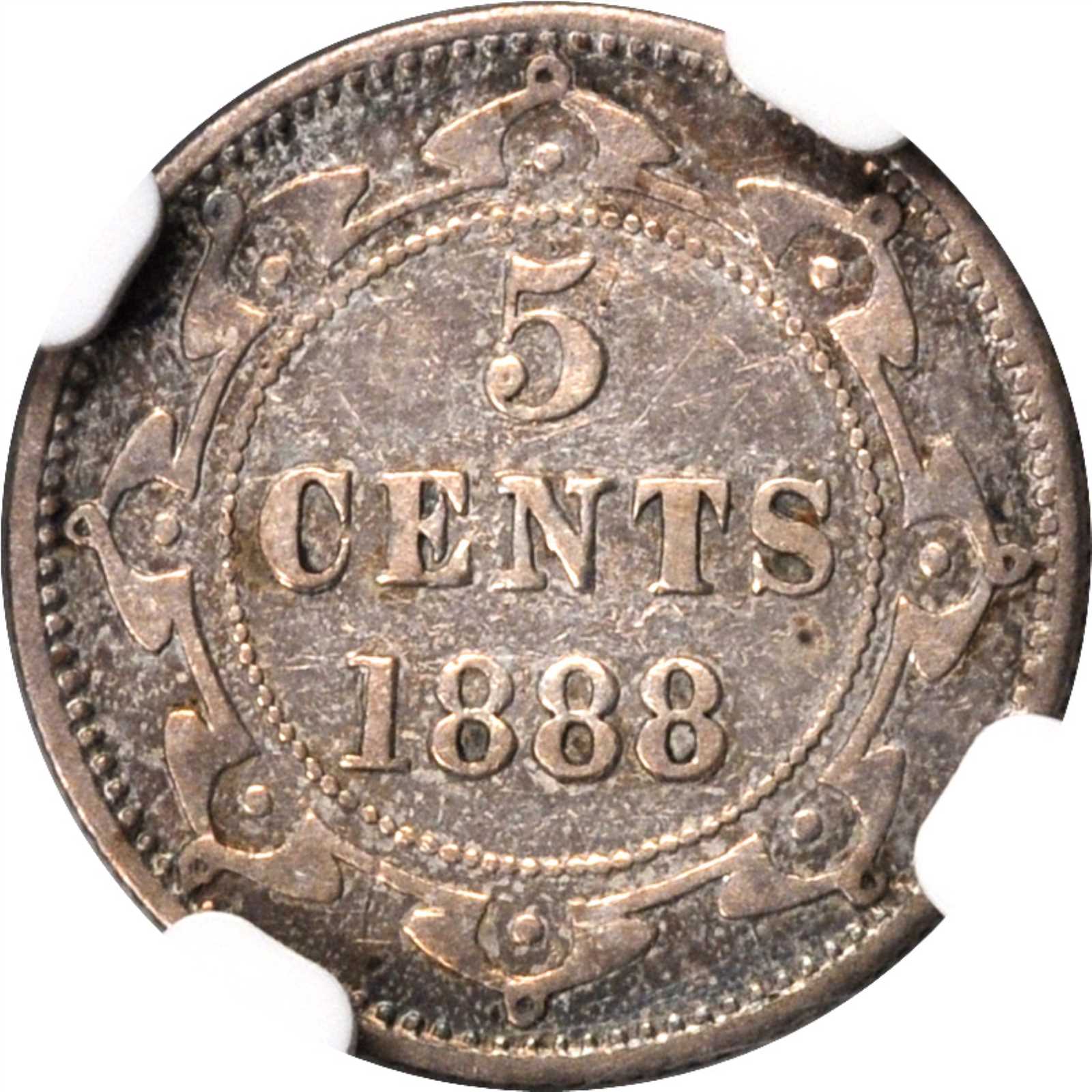 Newfoundland-5-Cents-1888,-Obverse-Nf2