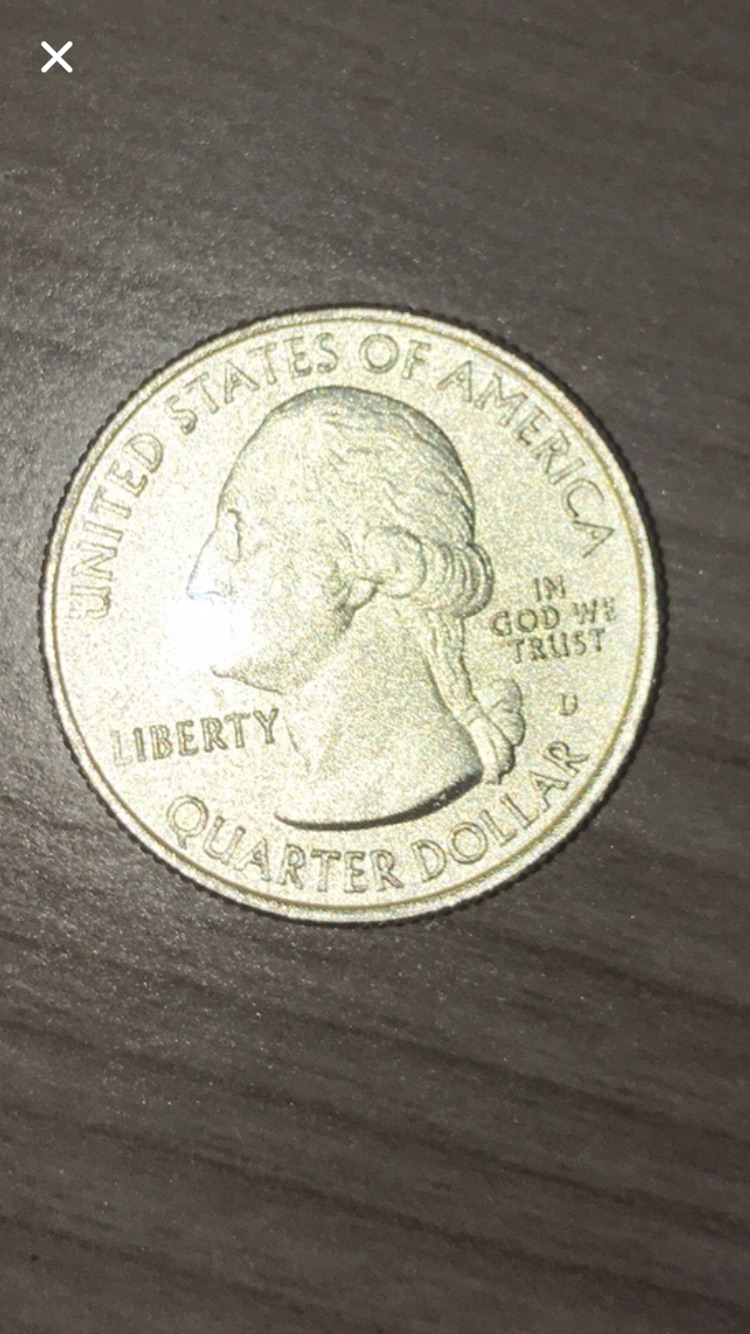 US-Quarter-2014-D-Everglades-Florida-Silver-Coin-Golden-Bird