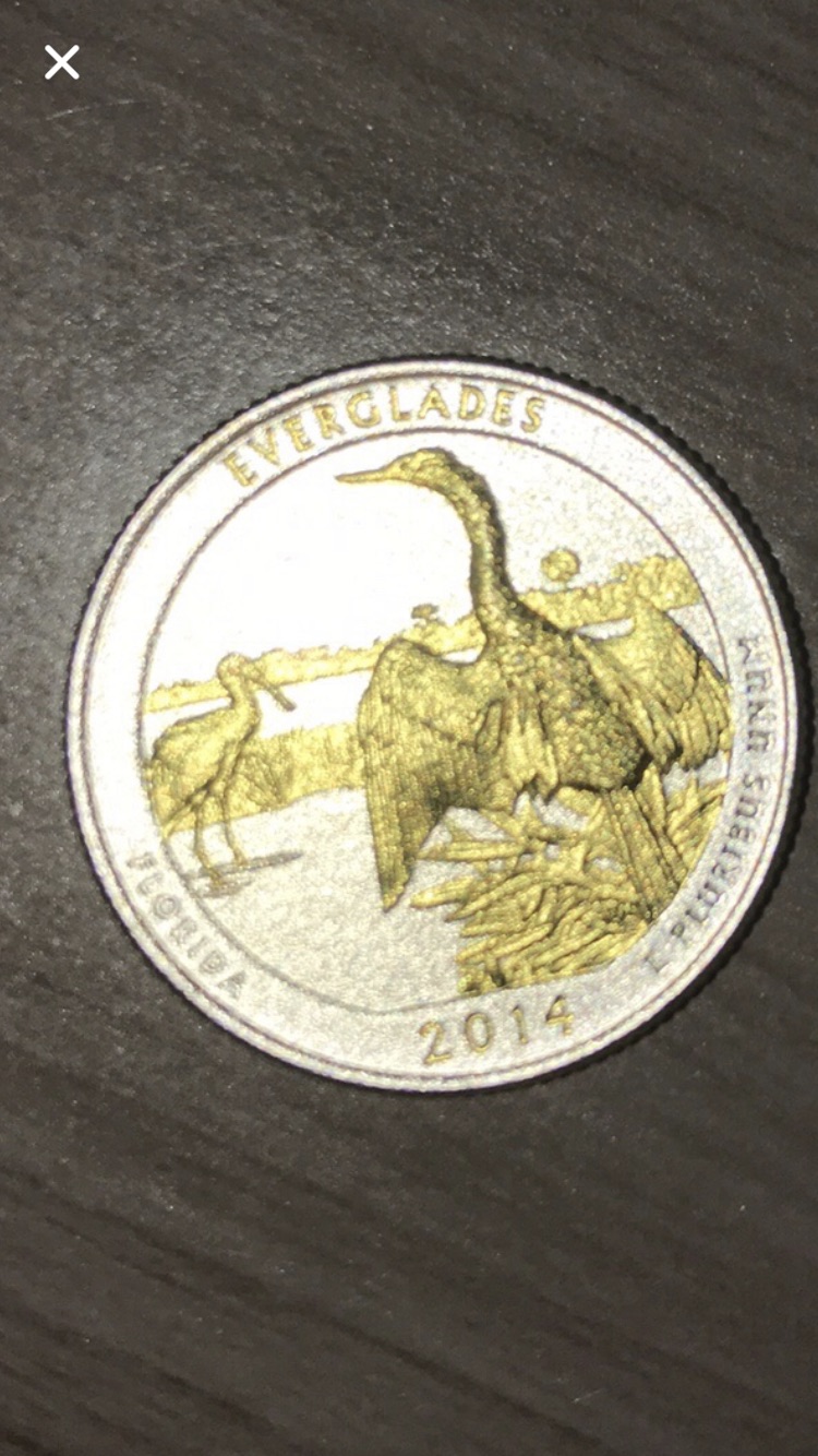 US-Quarter-2014-D-Everglades-Florida-Silver-Coin-Golden-Bird