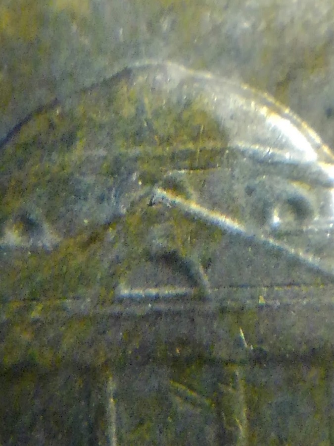 1944-D-Jefferson-Nickel---RPM-003-EDS-Stage-A