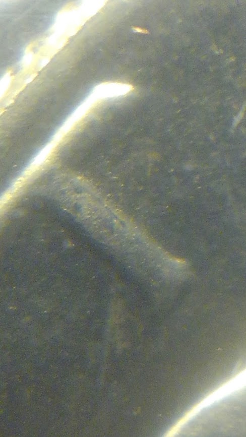Silver-Bicentenial-Ike-DDO