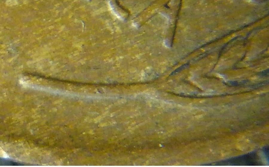 1916-P-WDDR-001-Lincoln-Wheat-Cent
