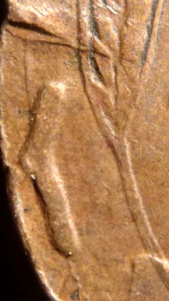 1942-D-Lincoln-Wheat-Cent---Triple-Struck-Or-Soft-Die---I-Dunno