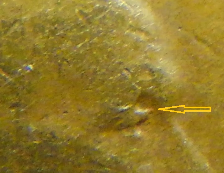 1927-D-1�-WDDO-005-New-Doubled-Eyelid-Close--East
