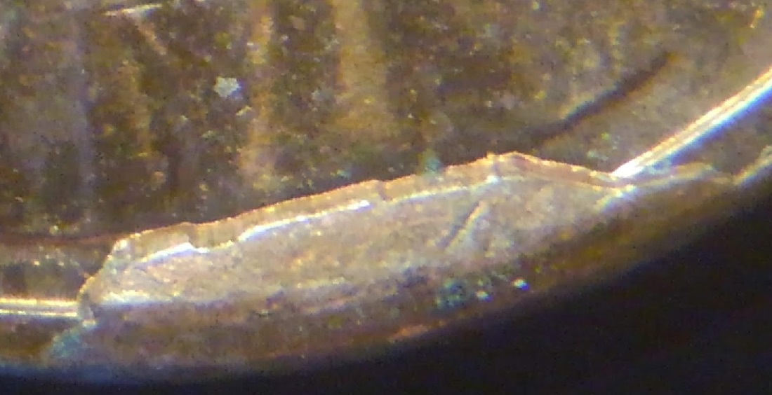 1984-P-LMC-Cud-@-K5---New?