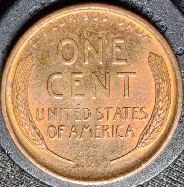 1909-P-Lincoln-Cent-DDR-006-Late-Stage-A/Early-B