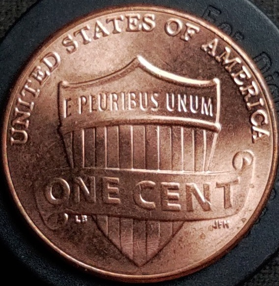 2022-D-Shield-DDR-New-W/-Decent-Thickness