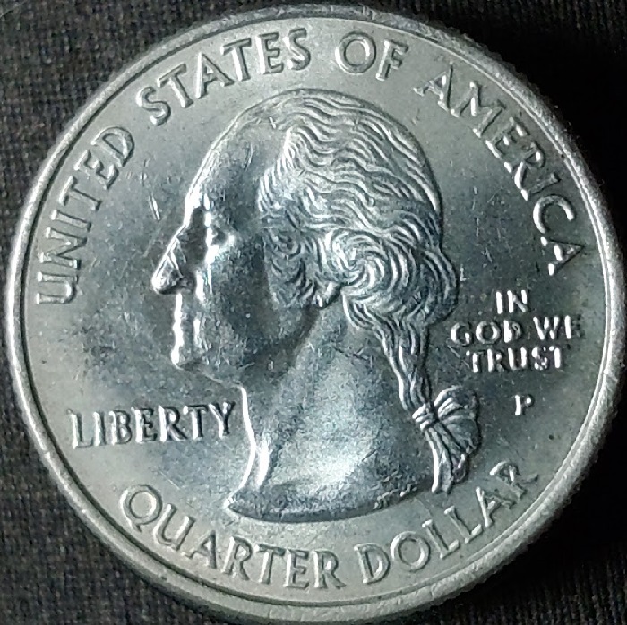 A-Couple-Of-Horses-Behinds.-2006-Nevada-Quarter--Die-Chips-On-Incuse-&-Raised-Devices.