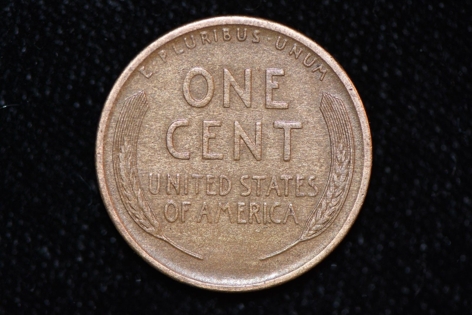 1909-S-Lincoln-Cent-For-Grading.
