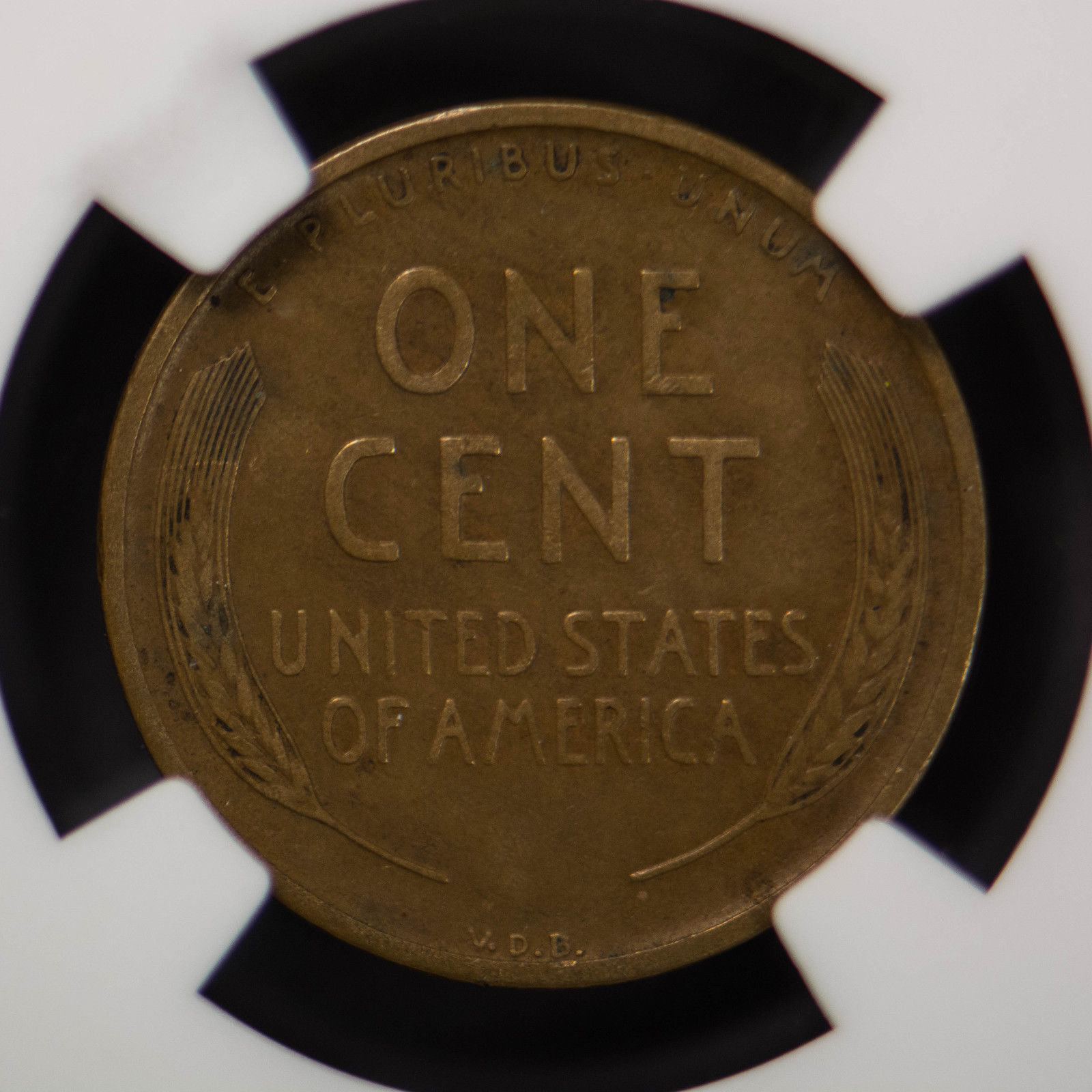1909-S-VDB-What-Do-You-Think-About-It