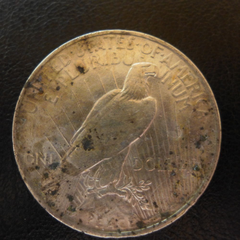 Corrosion/Carbon?-Black-Spots-On-Morgan.--Need-Advice.