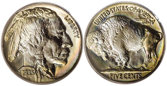 Question-About-Type-1-Vs-Type-2-Buffalo's