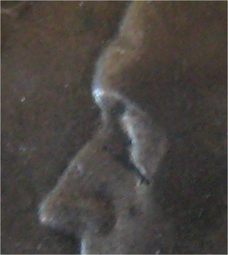 1943-Jefferson-Nickel-Doubled-Eye?