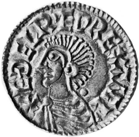 Unknown-Coin-Found-In-Garden
