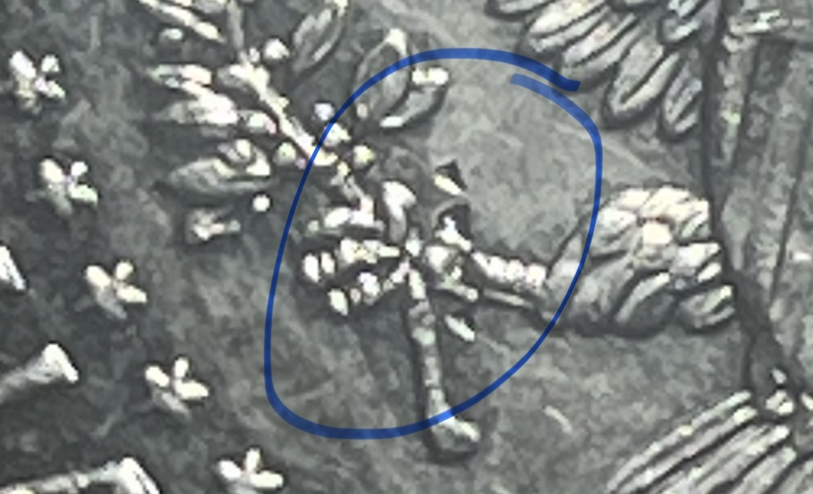 2021-Half-Dollar-Error-Or-Damage