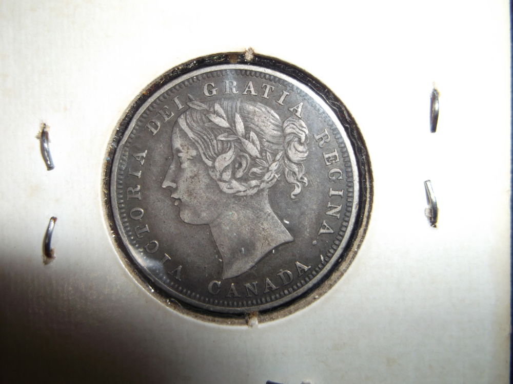 New-From-New-Brunswick---1858-20-Cent-Question