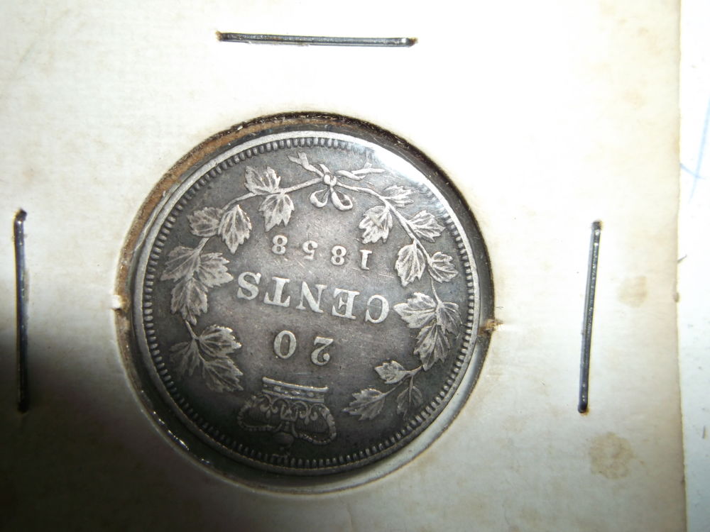 New-From-New-Brunswick---1858-20-Cent-Question