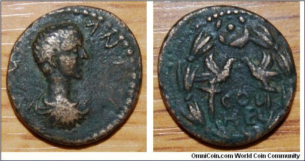 Geta-Or-Phillip-II-?-You-Decide