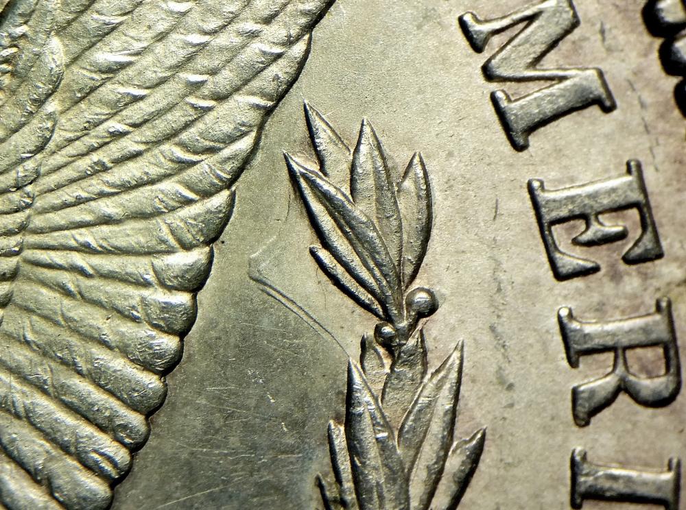 1882-CC-