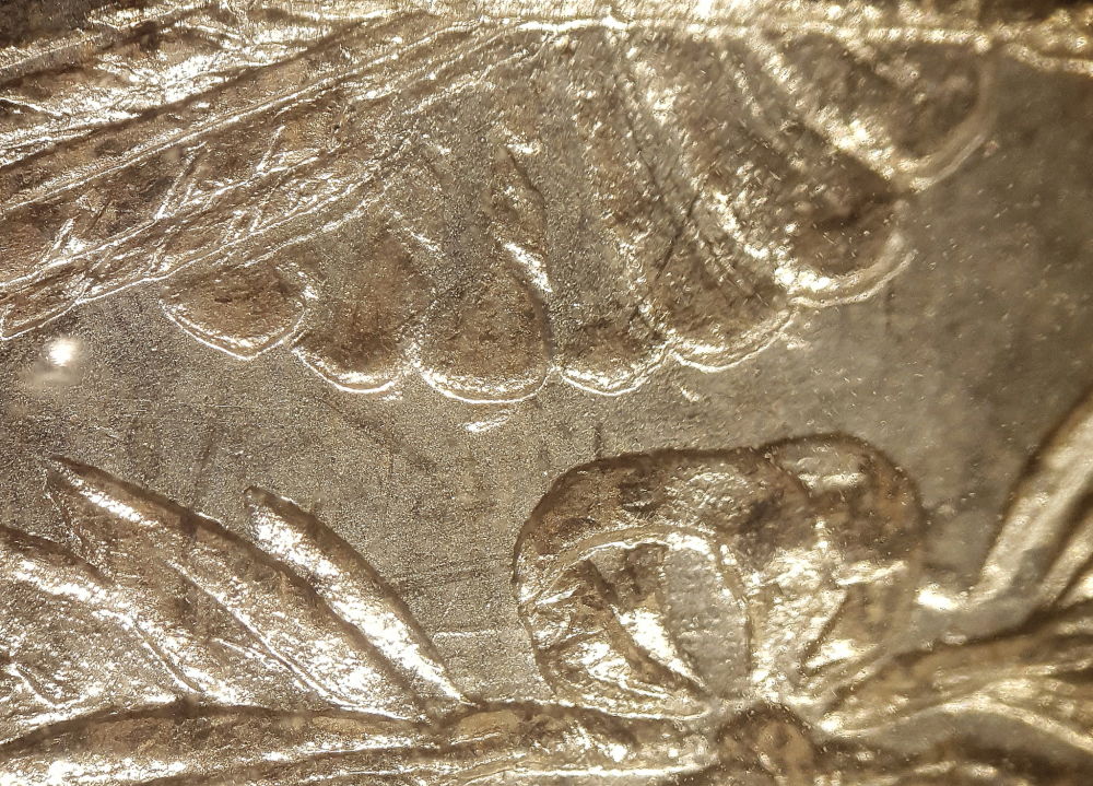VAM-Help-Please-1878-Over-?-Tailfeathers
