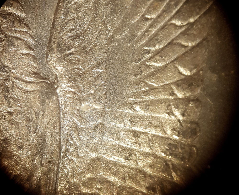 VAM-Help-Please-1878-Over-?-Tailfeathers