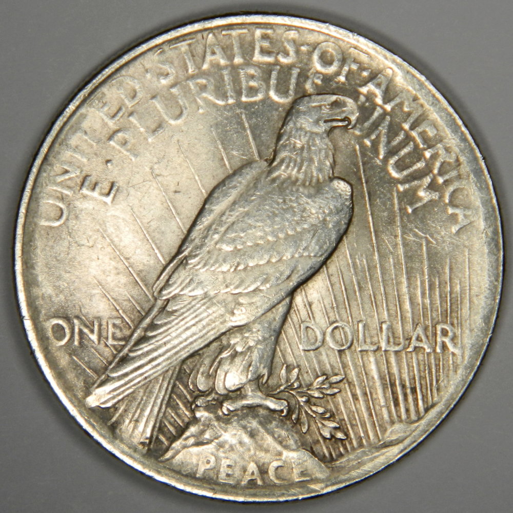 1924-Peace-Dollar---Counterfeit-Or-Strange-VAM?