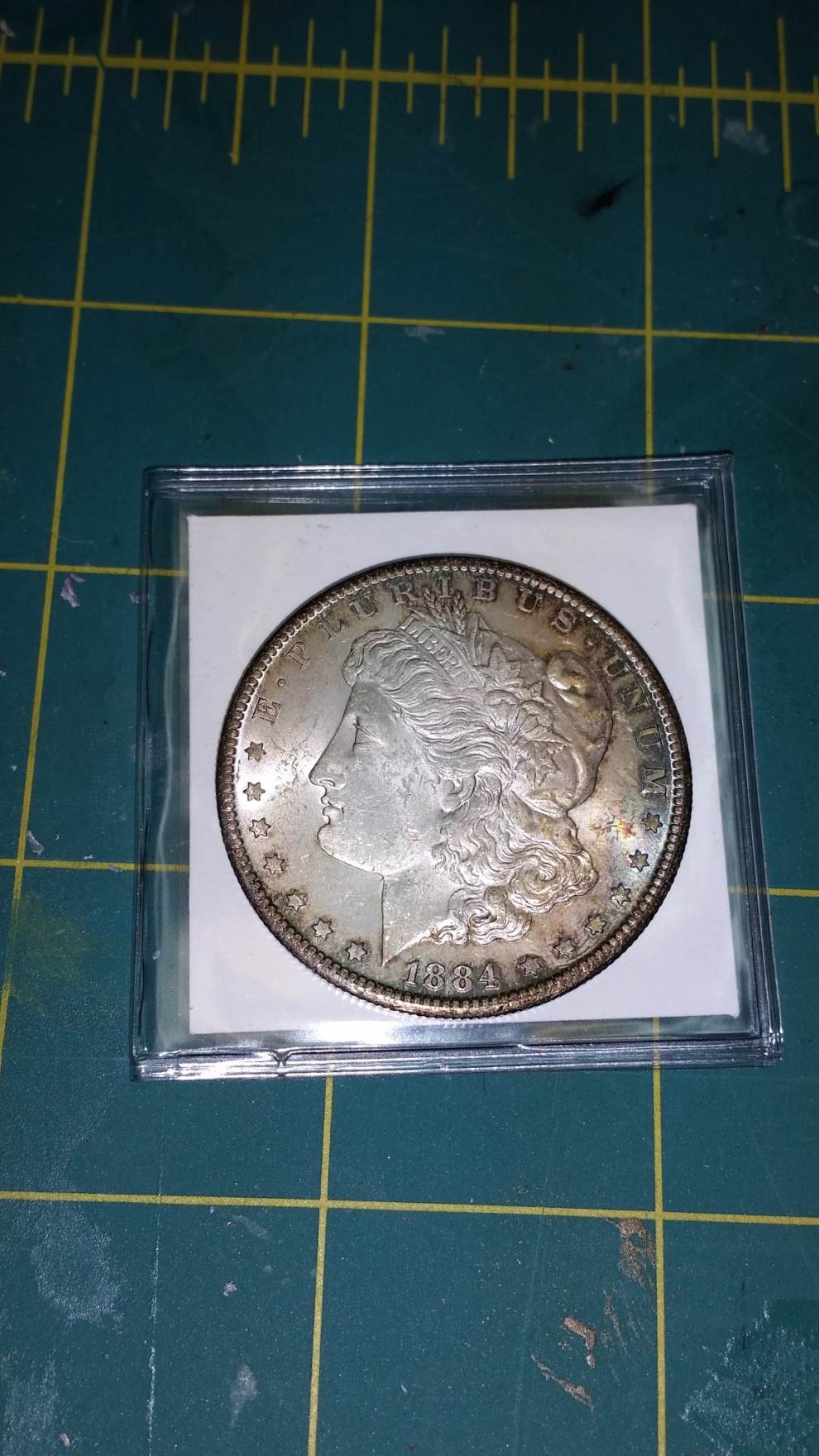 Morgan-Silver-Dollars----In-My-Over-My-Head!