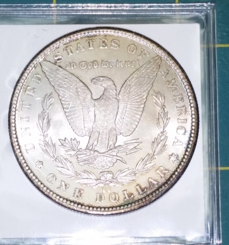 Morgan-Silver-Dollars----In-My-Over-My-Head!