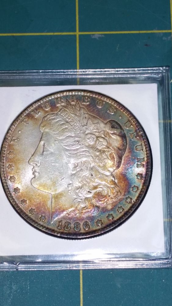 Morgan-Silver-Dollars----In-My-Over-My-Head!