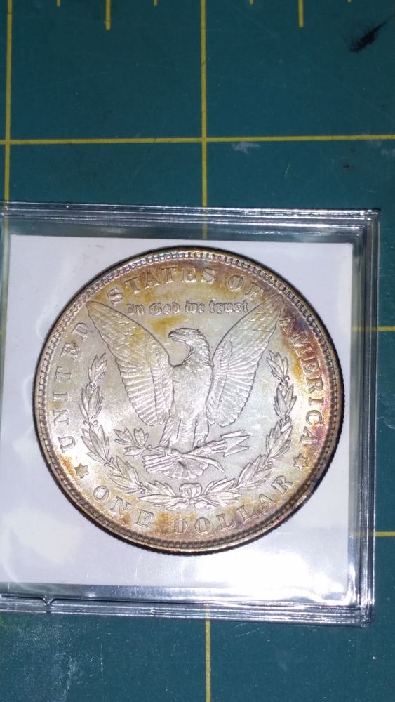 Morgan-Silver-Dollars----In-My-Over-My-Head!