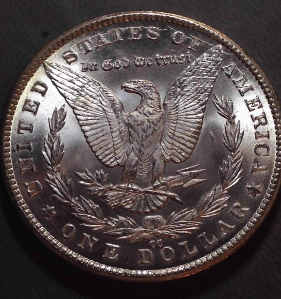 1881-CC-Morgan-Grade-Help