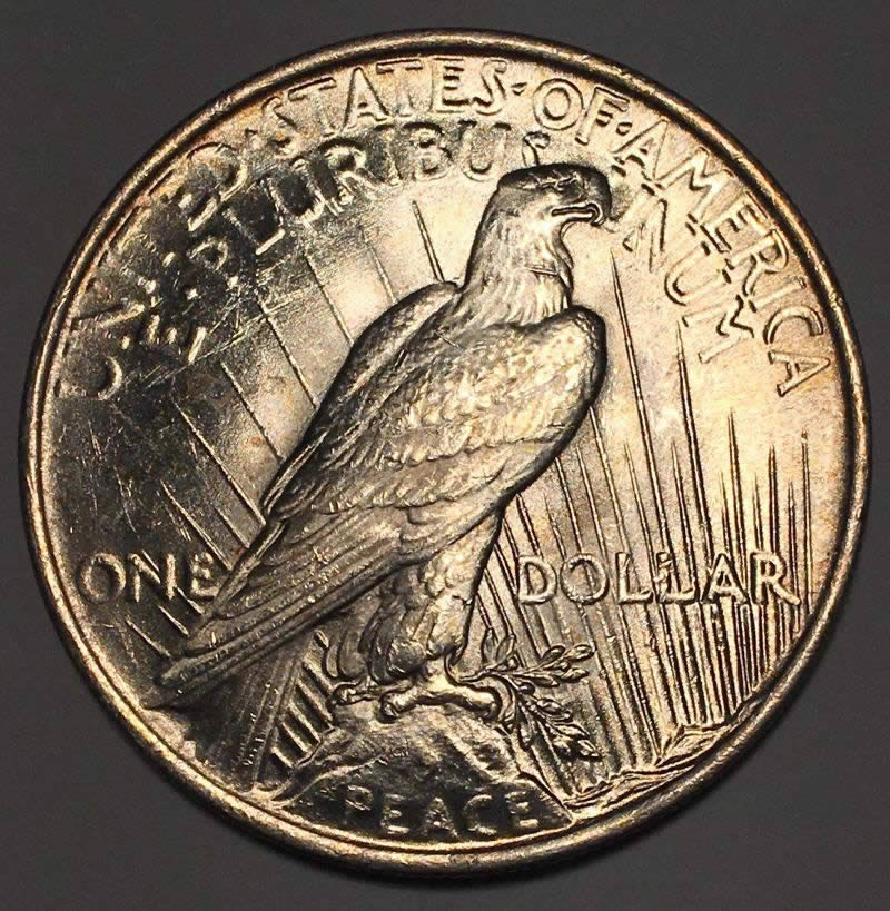1923-Peace-Dollar-VAM-Thoughts