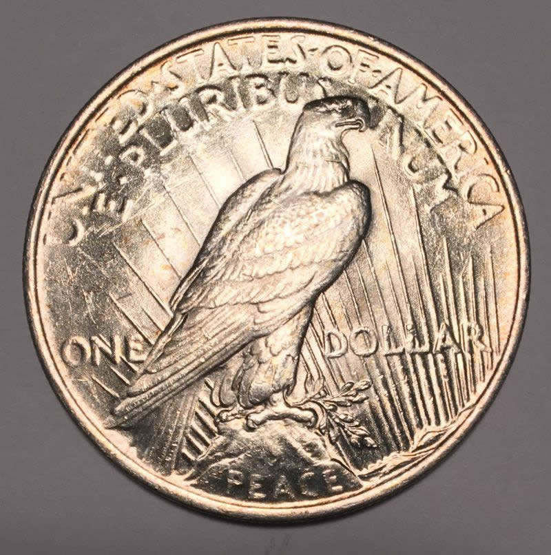 1923-Peace-Dollar-VAM-Thoughts
