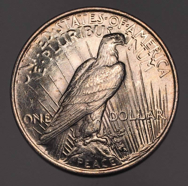 1923-Peace-Dollar-VAM-Thoughts