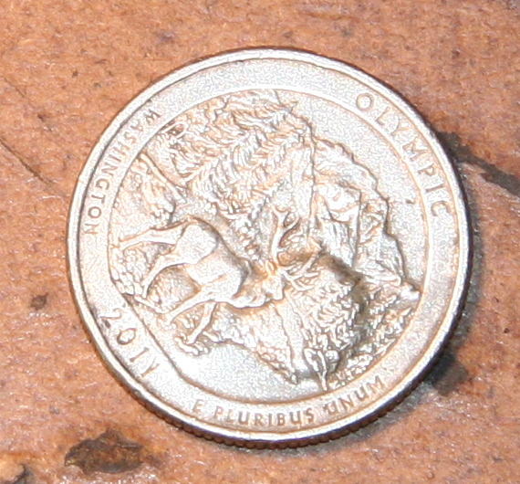 2011-Olympic-Washington-Quarter-Error