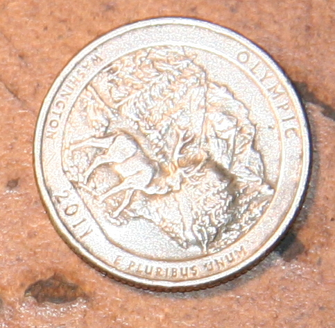 2011-Olympic-Washington-Quarter-Error